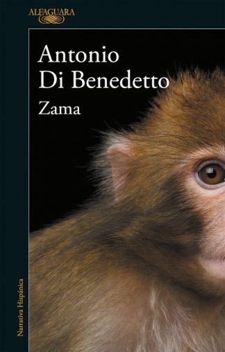 ZAMA