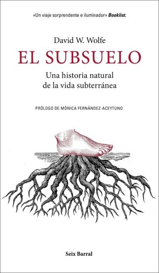 SUBSUELO